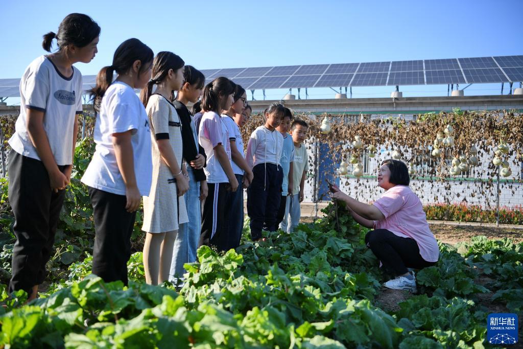 大奖国际官方网站